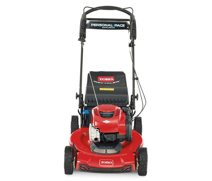 Toro Recycler Self-Propelled Mower 163cc Briggs & Stratton 7.25 TP