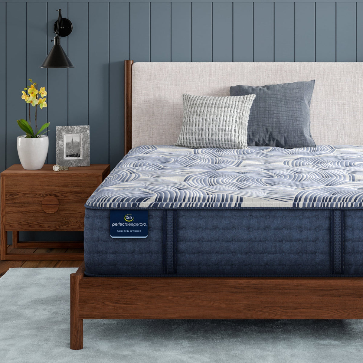 Serta Perfect Sleeper Pro Dublin 13.75" Medium Firm Mattress