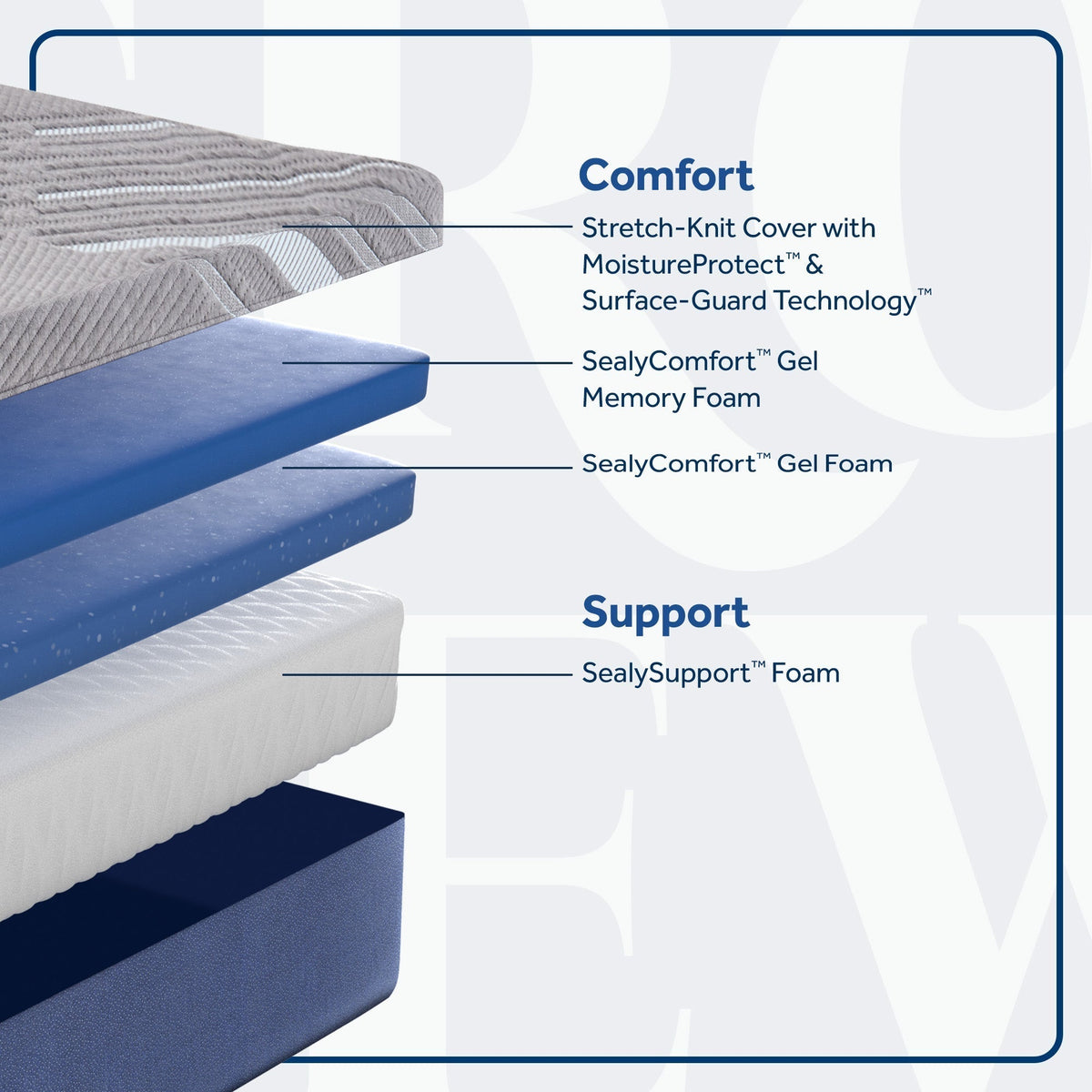 Sixth & Park Medium Foam 12" Mattress