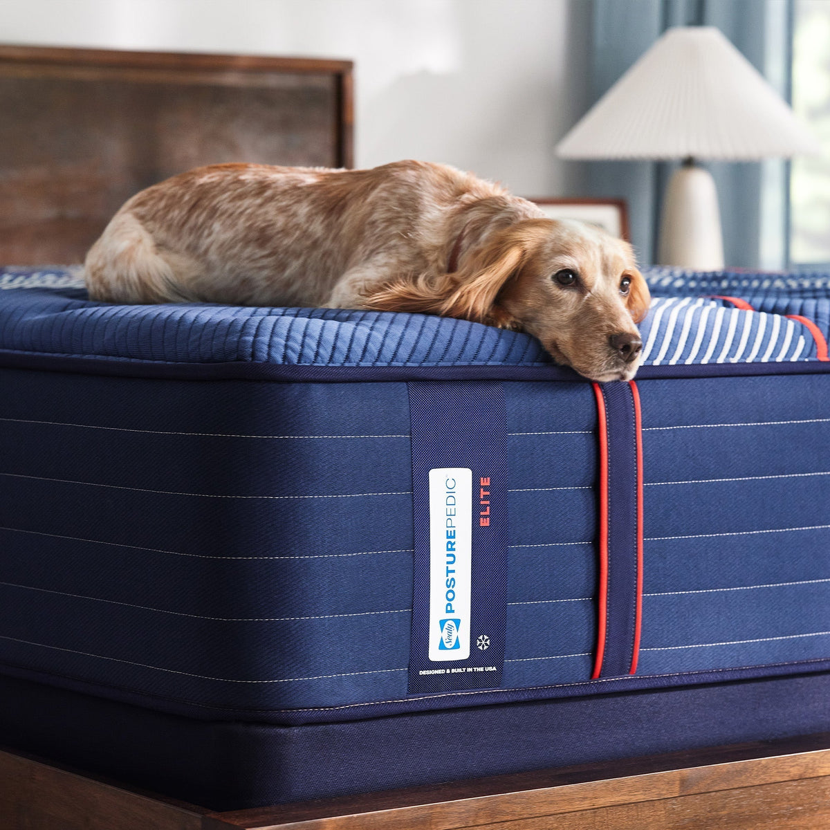 Sealy Posturepedic Elite Spring Albany II 14" Firm Tight Top Mattress