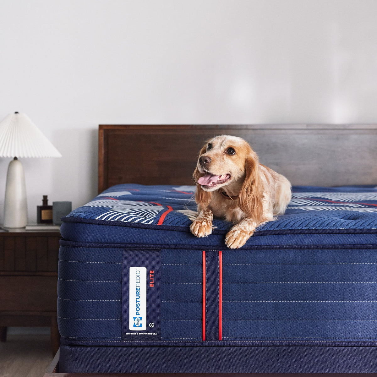 Sealy Posturepedic Elite Spring Albany II 15" Soft Euro Pillowtop Mattress
