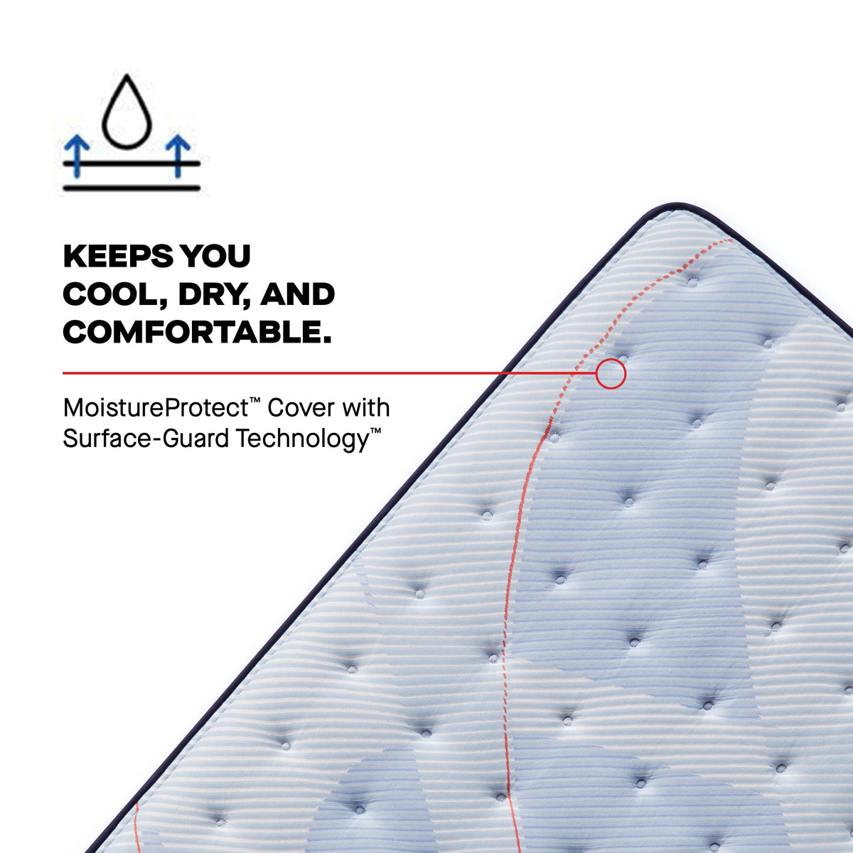 Sealy Posturepedic Plus Spring Paterson II 14" Soft Tight Top Mattress