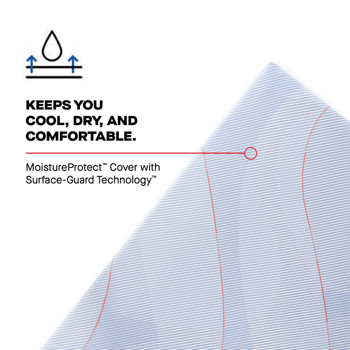 Sealy Posturepedic Medina II 12" Firm Hybrid Mattress