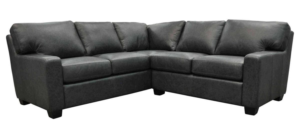 Albany Leather Sectional