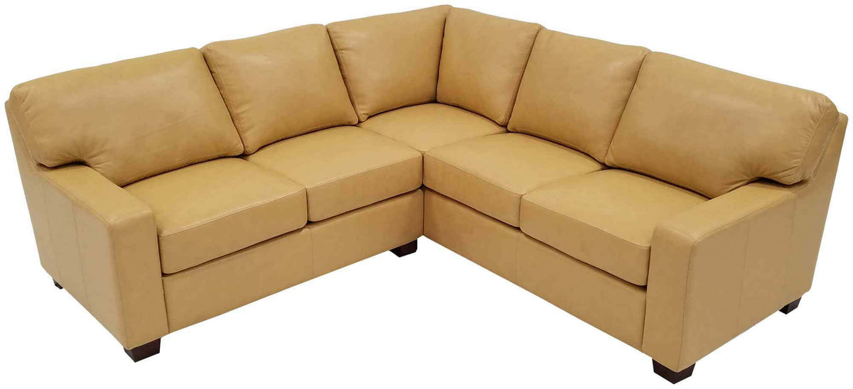 Albany Leather Sectional