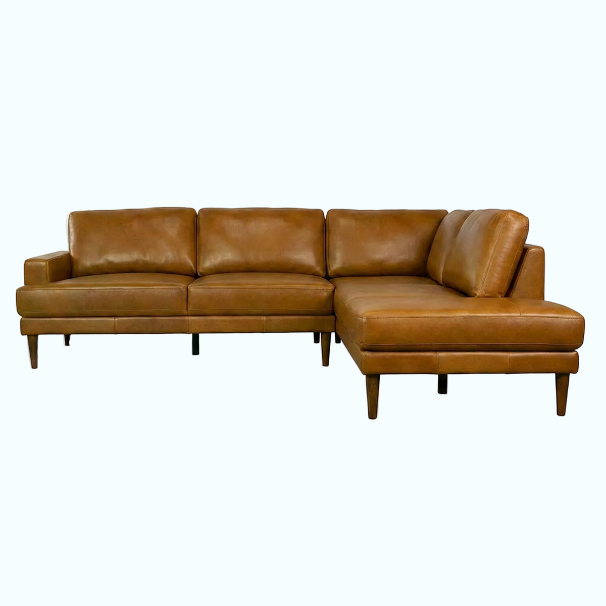 Corbin Top-Grain Leather Sectional