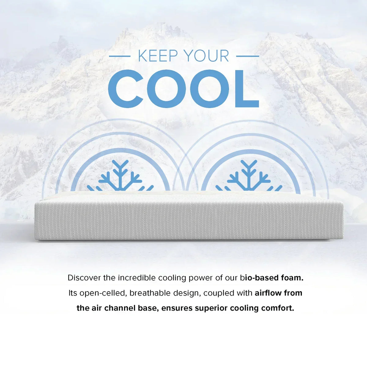 Bedplanet 10” EcoCore Origin Soy-Based Mattress – Eco-Friendly & Medium Firm