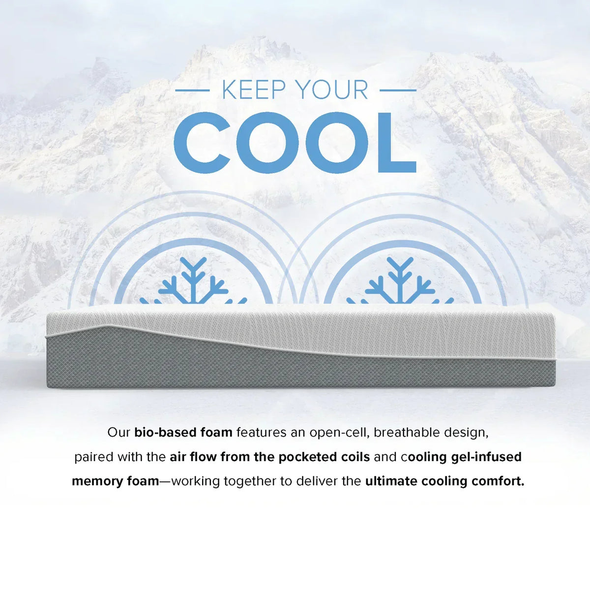 Bedplanet 12” EcoCore Hybrid Mattress – Soy-Based Foam & Pocketed Coils