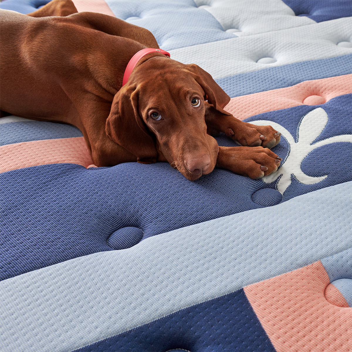 Stearns & Foster Reserve Duet Firm Tight Top Mattress with Reversible Topper