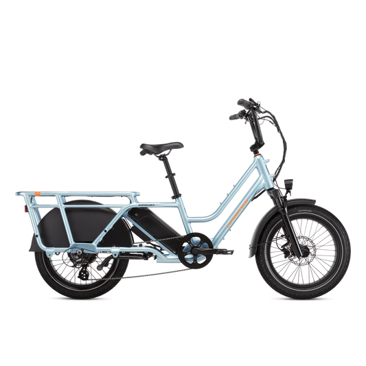Rad Power Bikes RadWagon 5 Electrics Cargo Bikes