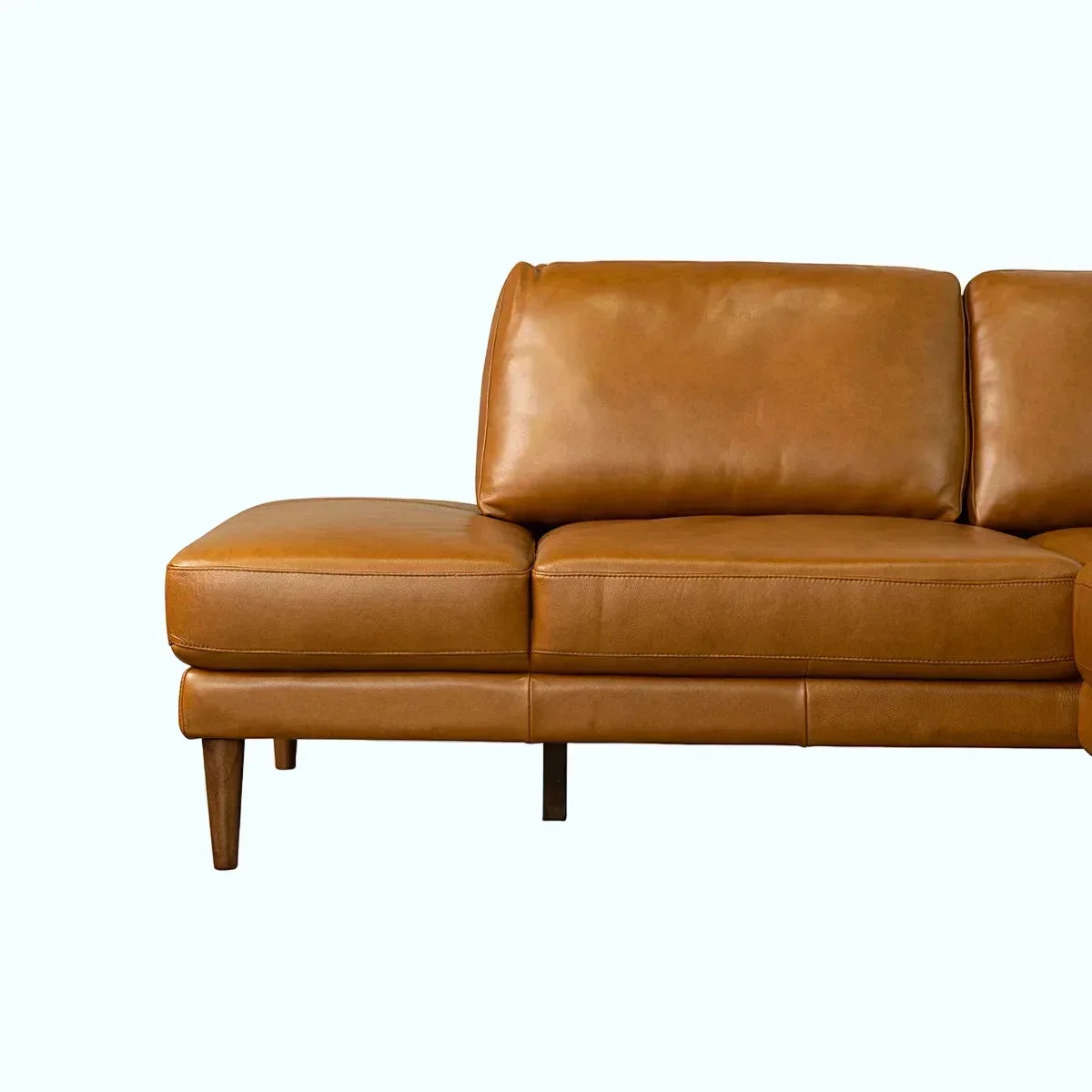 Corbin Top-Grain Leather Sectional
