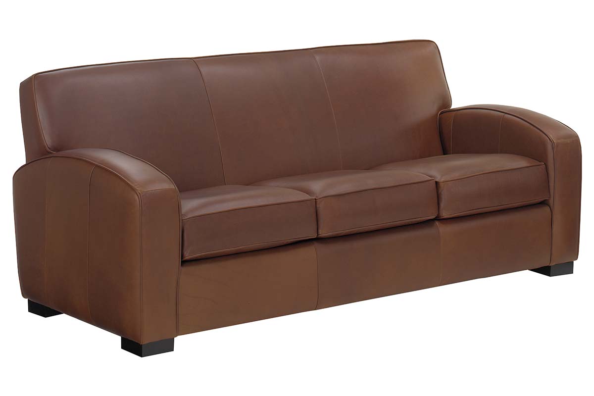 Hayden 81 Inch Contemporary Leather Sofa