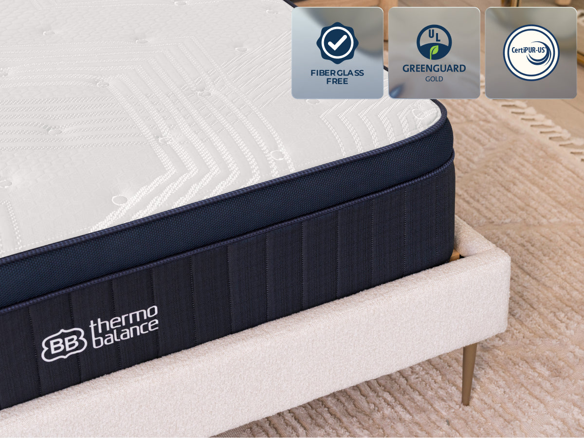ThermoBalance LX